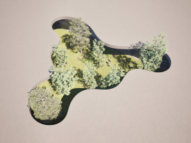 Elementary School Dubrava